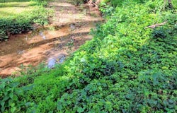 115 LAFAYETTE PL, FOREST, VA 24551