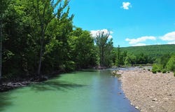 Cr 6151, Pettigrew, AR 72752