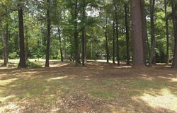 208 Mountain View Drive, Daingerfield, TX 75638