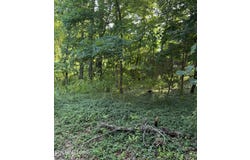 Lot 8 Catoosa Woods Drive, Lancing, TN 37770