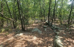 W Middle Mtn Rd, Talihina, OK 74571
