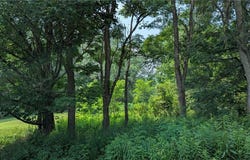 1505 County Highway 11, Mount Vision, NY 13810