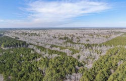 0 FOLLOW DITCH ROAD, PRINCESS ANNE, MD 21853