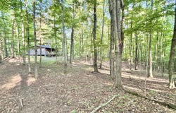 3229 Painter Ridge Rd, Vinton, OH 45686