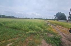 0 FM 586, Bangs, TX 76823