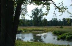 0 Anderson Lane, Centerburg, OH 43011