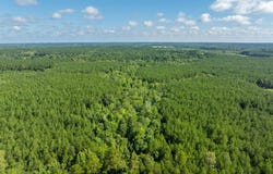 TBD Webb Rd., Spearsville, LA 71277