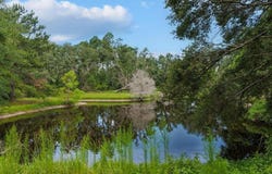 837 NE Raspberry Way, Pinetta, FL 32350