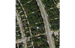 1287 W EVERGREEN DRIVE, CITRUS SPRINGS, FL 34434