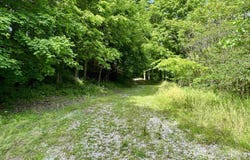 off SR 66, Grandview, IN 47615