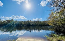 Lot 12 Buchanan Landing, Folkston, GA 31537