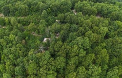 1267 Brushy Fork, Yellville, AR 72687