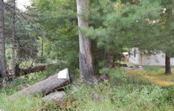 LOT 9 Dorothy Drive, Prescott, MI 48756