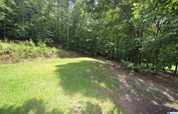 1540 PEPPER ROAD, ASHLAND, AL 36251