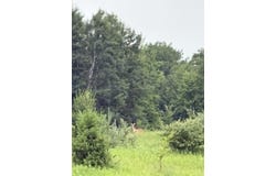 00 Hewitt, Tustin, MI 49688