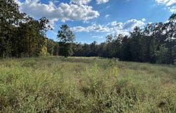 Polk Road 178, Mena, AR 71953