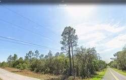 0 VIOLA COURT, DUNNELLON, FL 34431