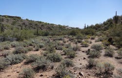 15210 E Stardust Drive, Fountain Hills, AZ 85268