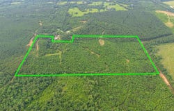 3536 & Tbd CR 1579, Avinger, TX 75630