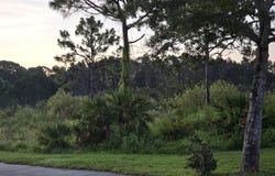 00 Prima Vista Boulevard, Port Saint Lucie, FL 34952