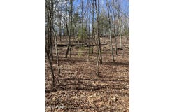 Oakridge Drive, Dingmans Ferry, PA 18328