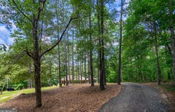 400 Mount Zion, Franklin, GA 30217