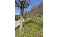 13300 KY-7, Isom, KY 41824
