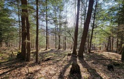 1890 Bristol Road, Monkton, VT 05469