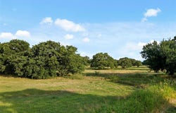 Tbd County Road 4227, Rhome, TX 76078