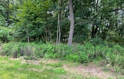 T 414 Tanite Road, Stroudsburg, PA 18360