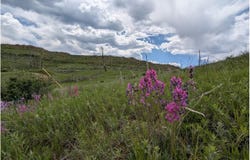 598 Mount McConnell Dr, Livermore, CO 80536