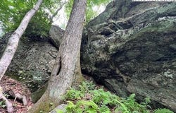 Locust Point Drive, Boone, NC 28607