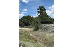 0 Porky Gulch, Chama, NM 87520