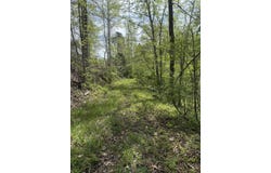 1325 State Hwy 1036, Campton, KY 41301