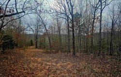 2726 Little Red River Road, Marshall, AR 72650