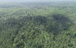 80 Acres Off M69, Crystal Falls, MI 49920