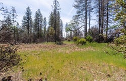 0 Toll Gate Way, Forest Ranch, CA 95942