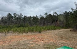 0 Hwy 147, Mt. Olive, LA 71268