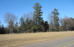 12.09 Acres CALLON AVENUE, Weston, WI 54476