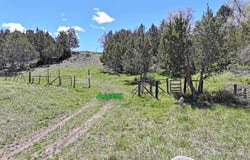555 Glenarm Avenue, Collbran, CO 81624