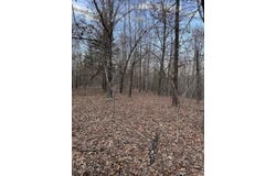 County Road 470, Rector, AR 72461