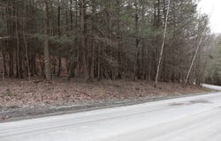 Tbd Terrace Drive, Lexington, NY 12468