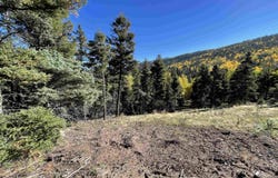 Vail Loop lot: 373, Angel Fire, NM 87710
