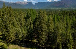 Nhn Aspen Glen Road, Eureka, MT 59917