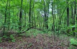 1.3 Jones Rd, German, NY 13801