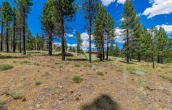 3 Raymond View, Markleeville, CA 96120