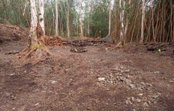 MOLOKAI ST, Pahoa, HI 96778