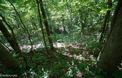 Love Colony Rd, Smithville, TN 37166