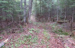 TBD Off Snowmobile Trail 133, Mohawk, MI 49950