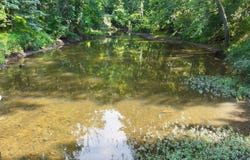 Lot 42 SHALE HILL LANE, AUGUSTA, WV 26704